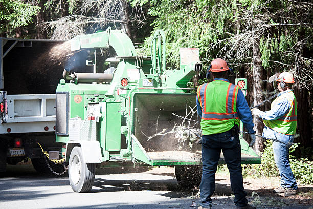 Best Tree Health Inspection  in Una, WA