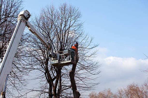 Best Aeration Services  in Una, WA